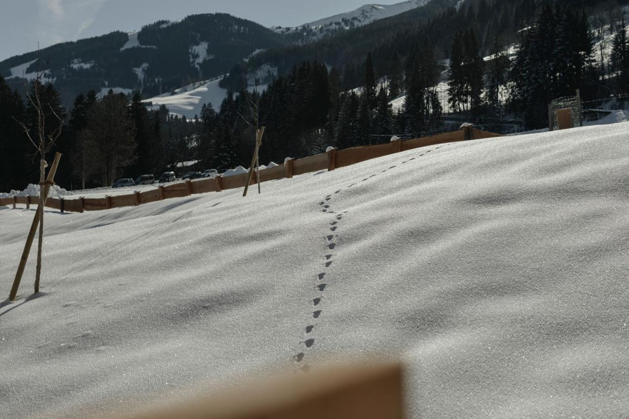 Hygna Chalets Reith im Alpbachtal Kültér fotó